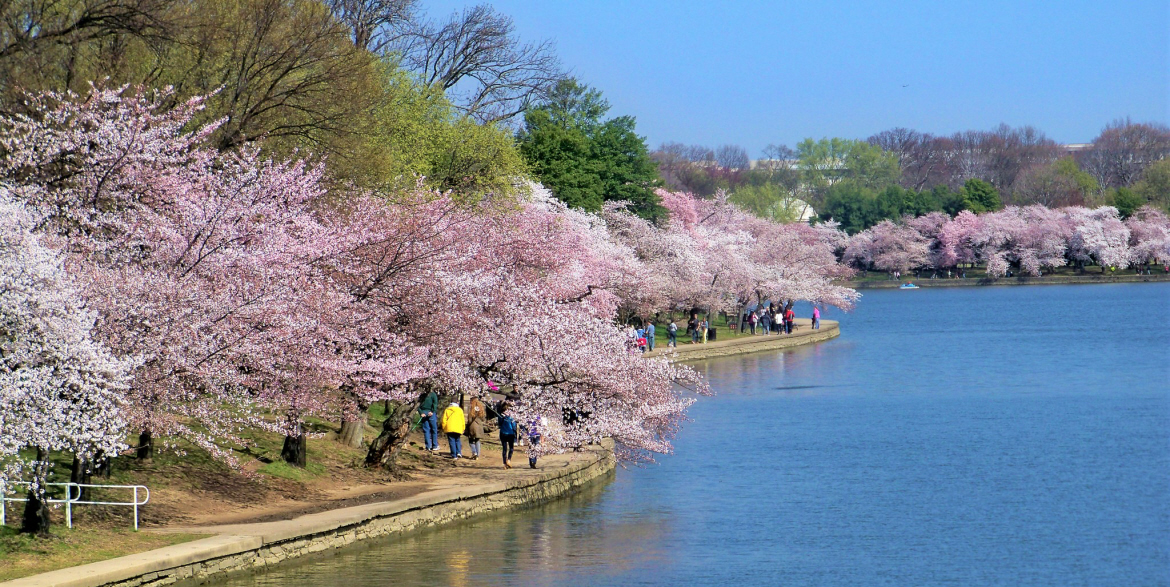 hotels near tidal basin