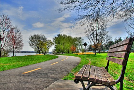 mt vernon trail for seeing cherry blossom festivals